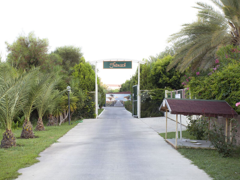 Febeach