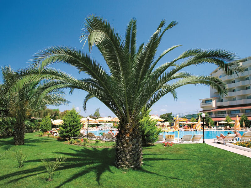 Febeach