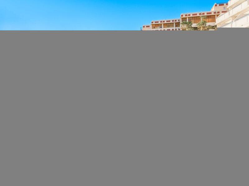 Fergus Cactus Garden