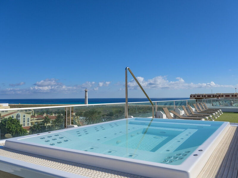 Fergus Cactus Garden