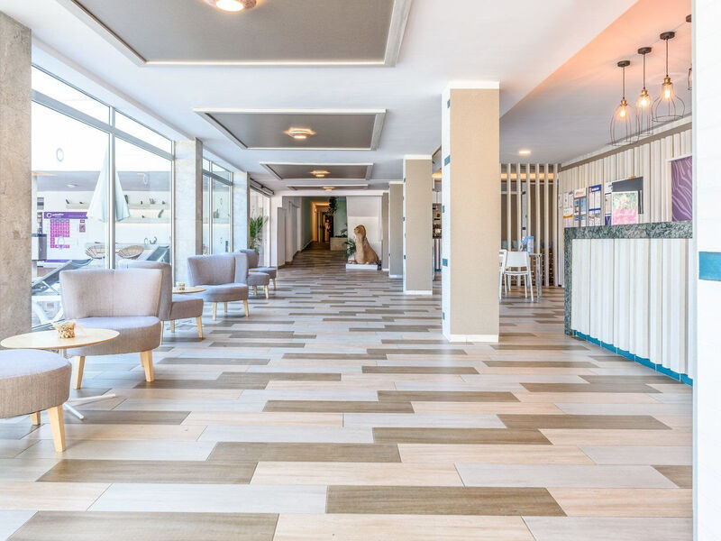 Fergus Cactus Garden