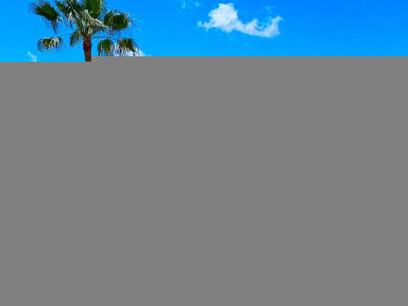 Fergus Club Mallorca Waterpark