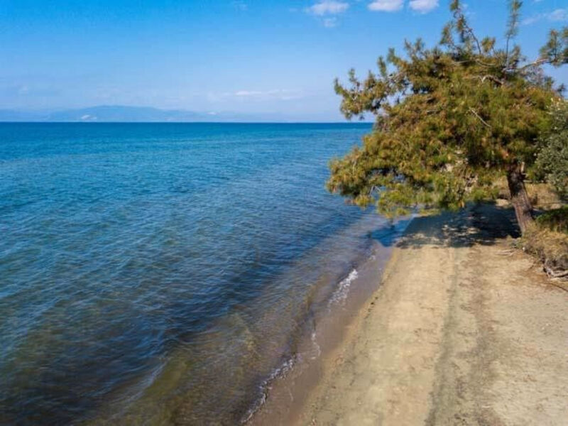 Filippos