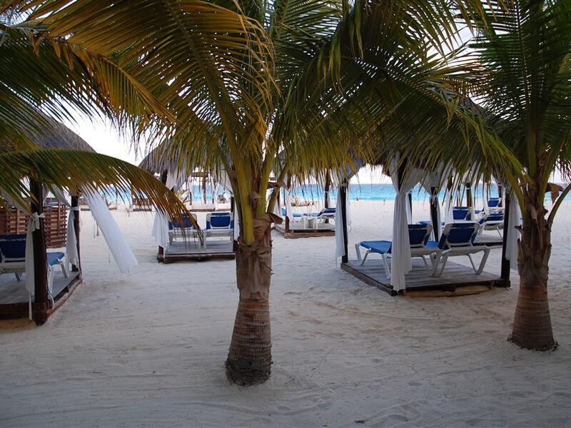 Flamingo Cancún
