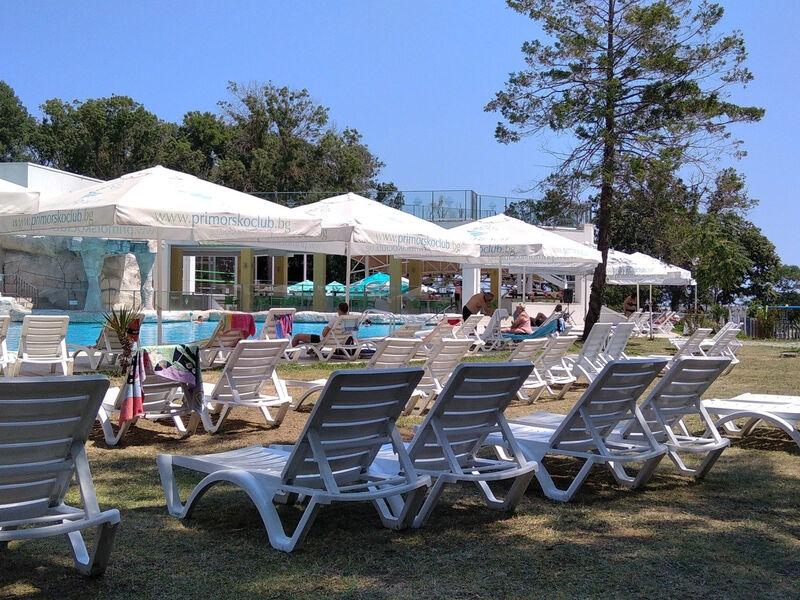 Forest Beach