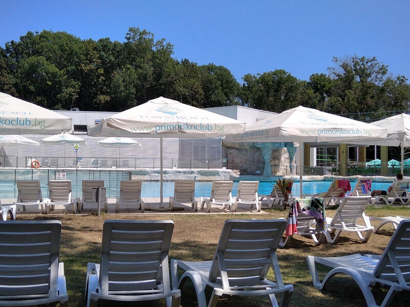Forest Beach