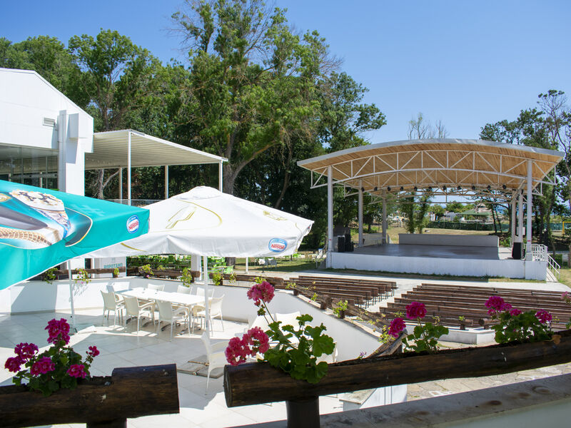 Forest Beach