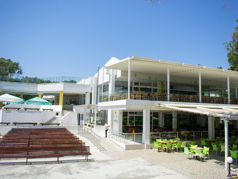 Forest Beach