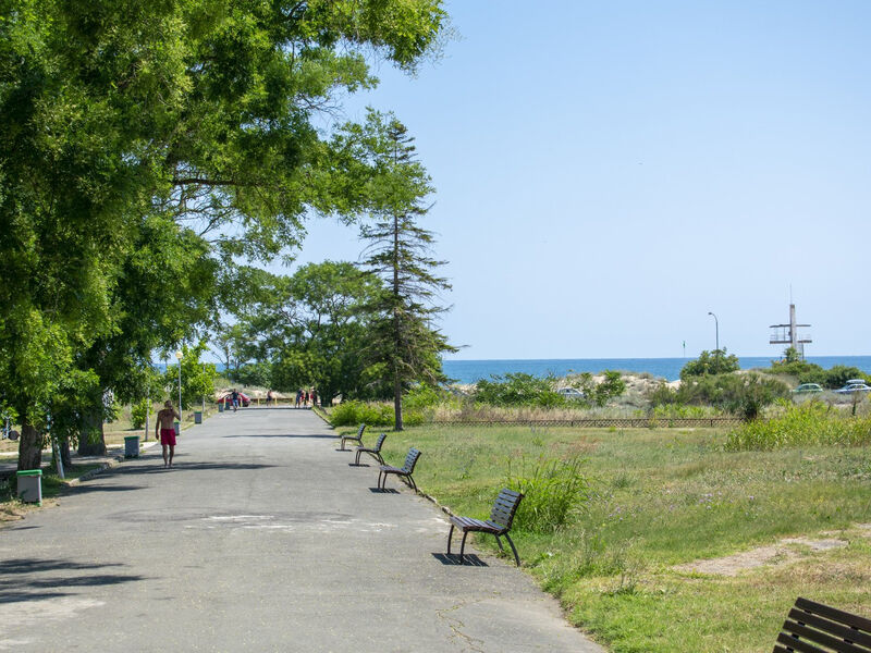Forest Beach