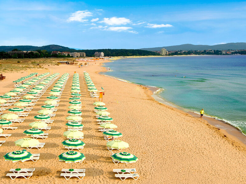 Forest Beach