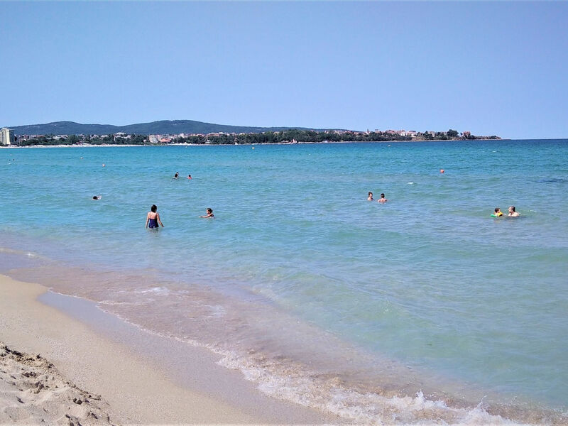 Forest Beach