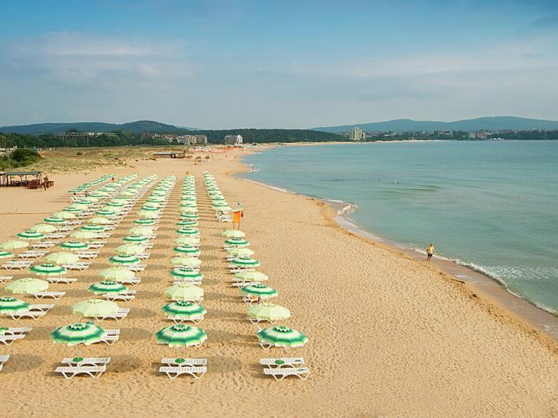 Forest Beach
