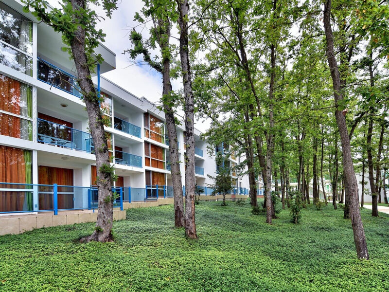 Forest Beach