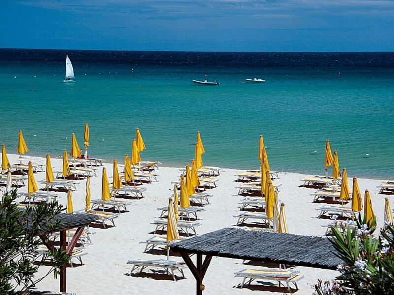 Free Beach