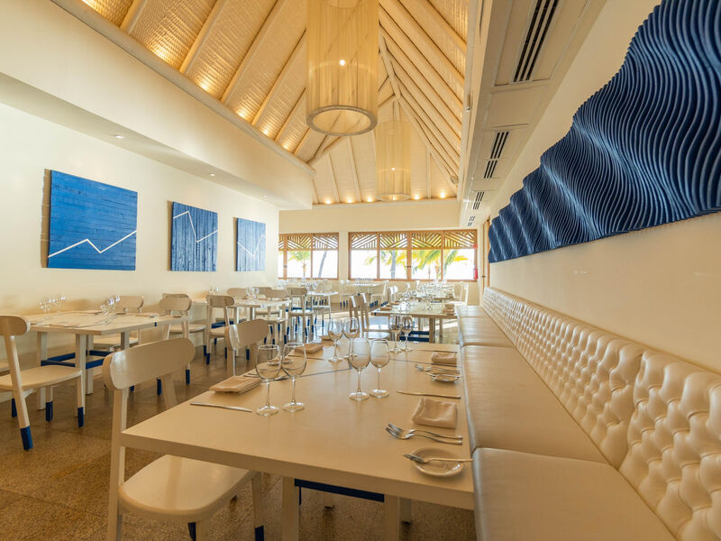 Friendly Fun Puerto Vallarta