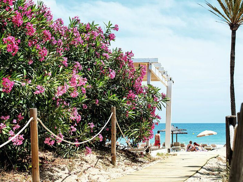 Funtazie Klub Bahamas Ibiza
