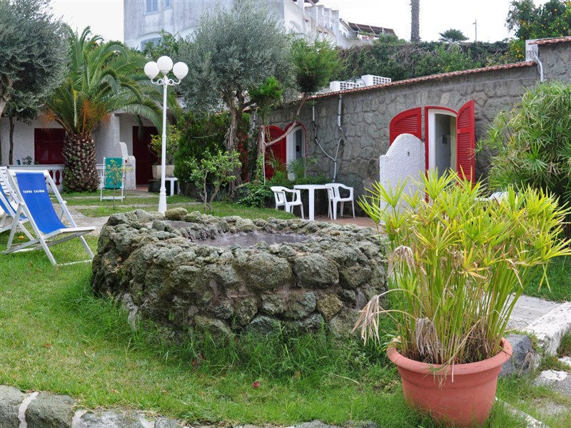 Galidon
