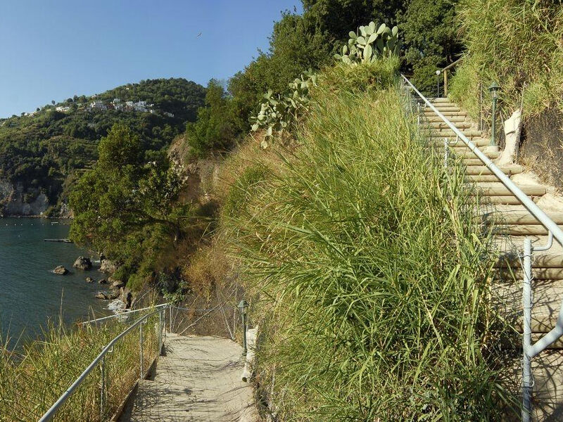 Giardino Delle Ninfe E La Fenice