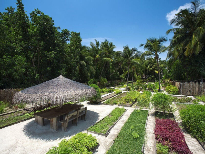 Gili Lankanfushi Maldives