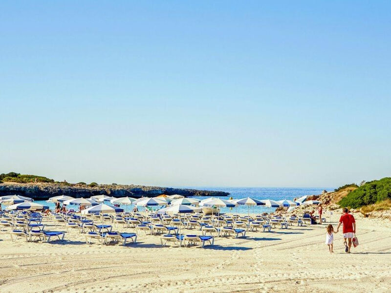 Globales Cala´n Bosch