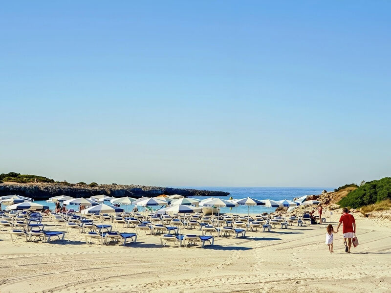 Globales Cala´n Bosch