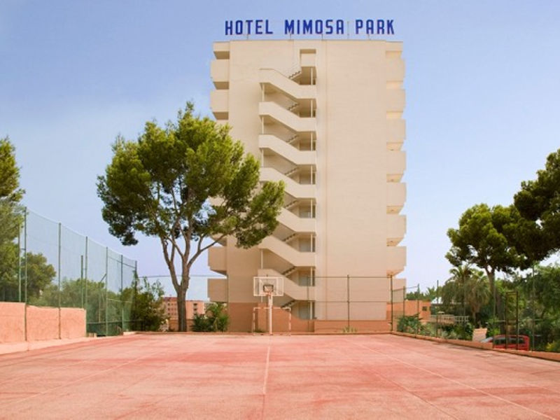 Globales Mimosa