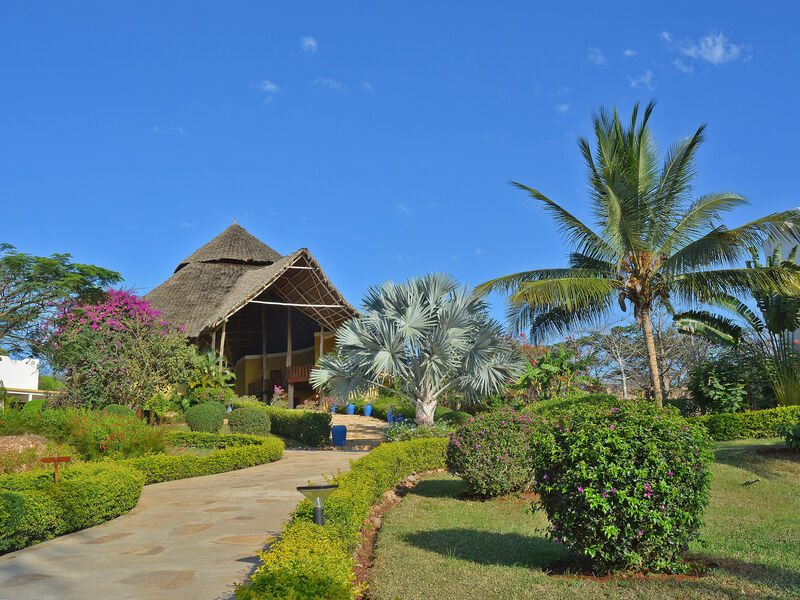 Gold Zanzibar