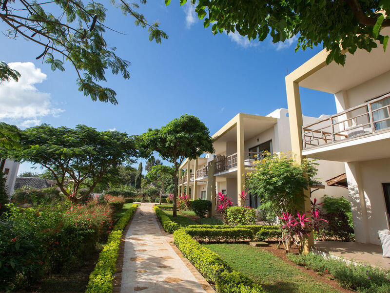 Gold Zanzibar