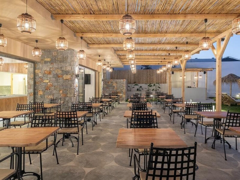 Golden Bee Lifestyle