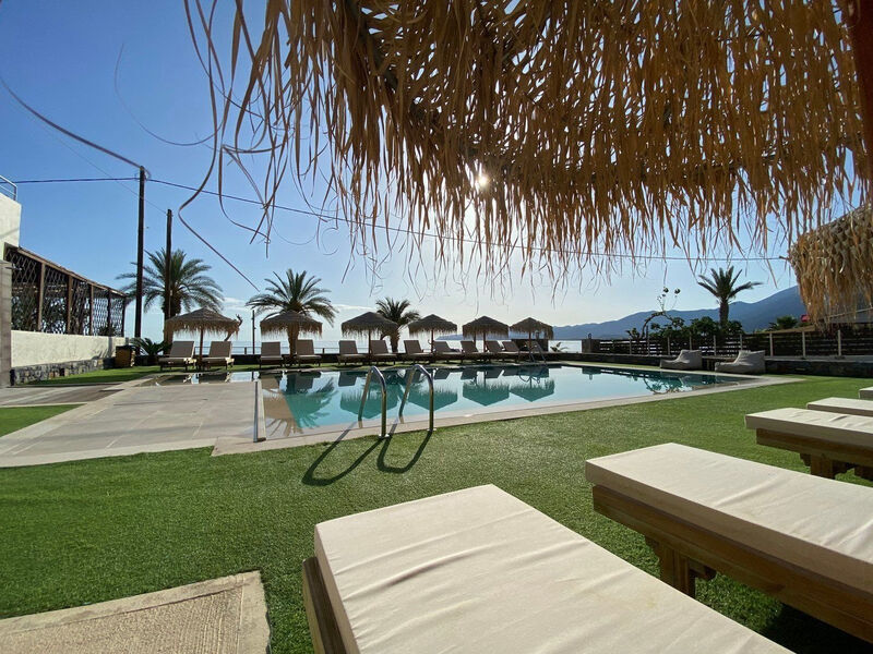 Golden Bee Lifestyle