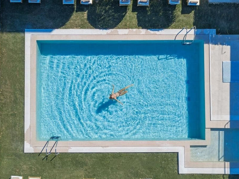 Golden Bee Lifestyle