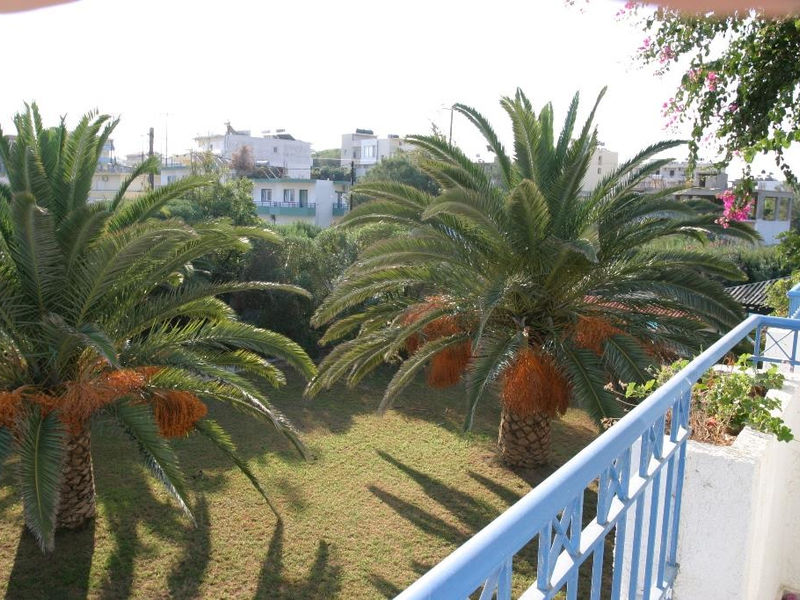 Gorgona
