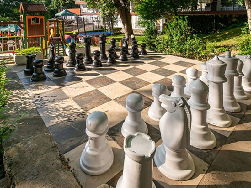 BSA Gradina