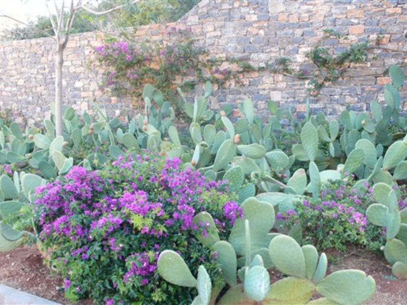 Gran Melia Resort & Luxury Villas