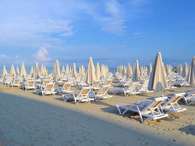Grand Blue Fafa
