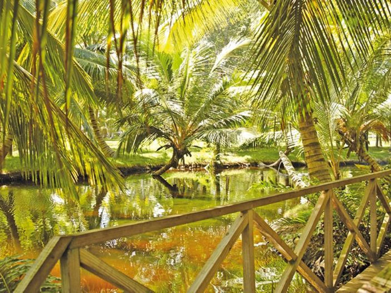 Grand Paradise Samaná