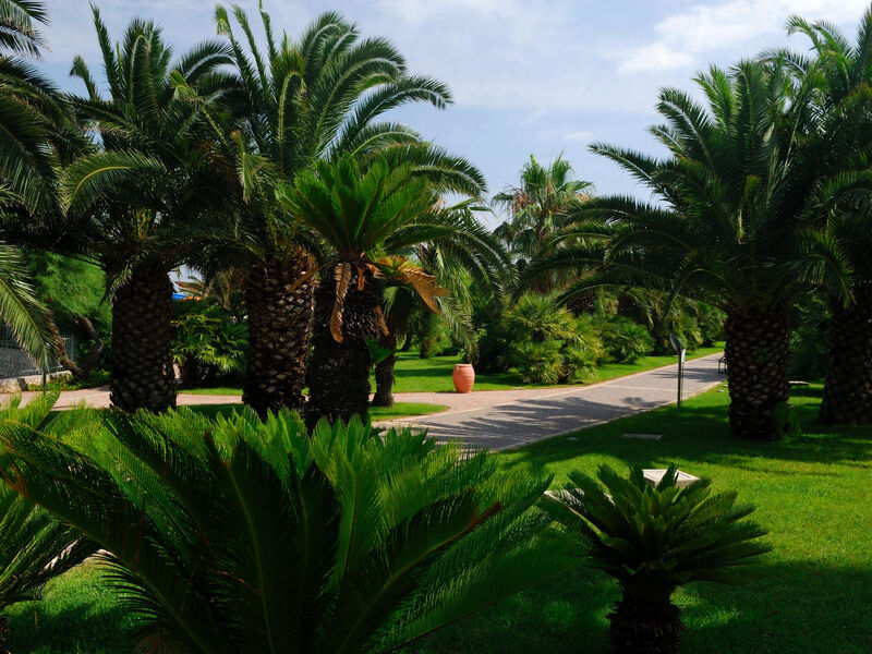 Granserena