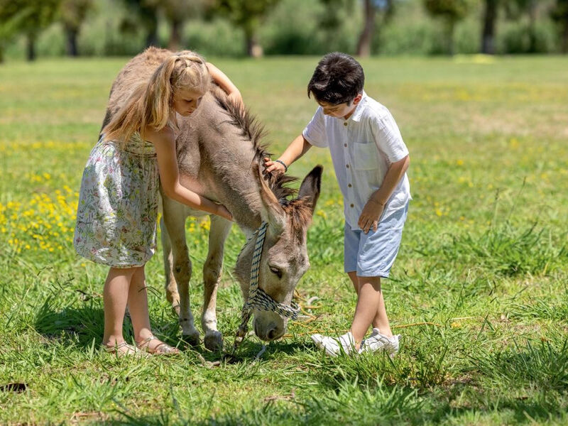 Grecotel Lux Me Costa Botanica