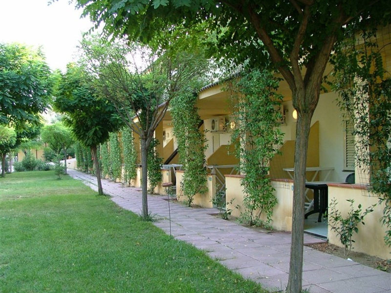 Green Garden