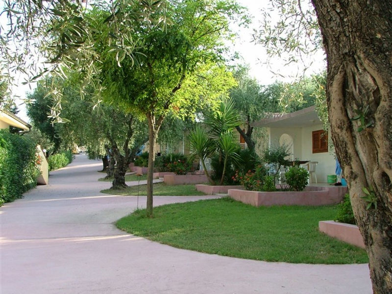 Green Garden