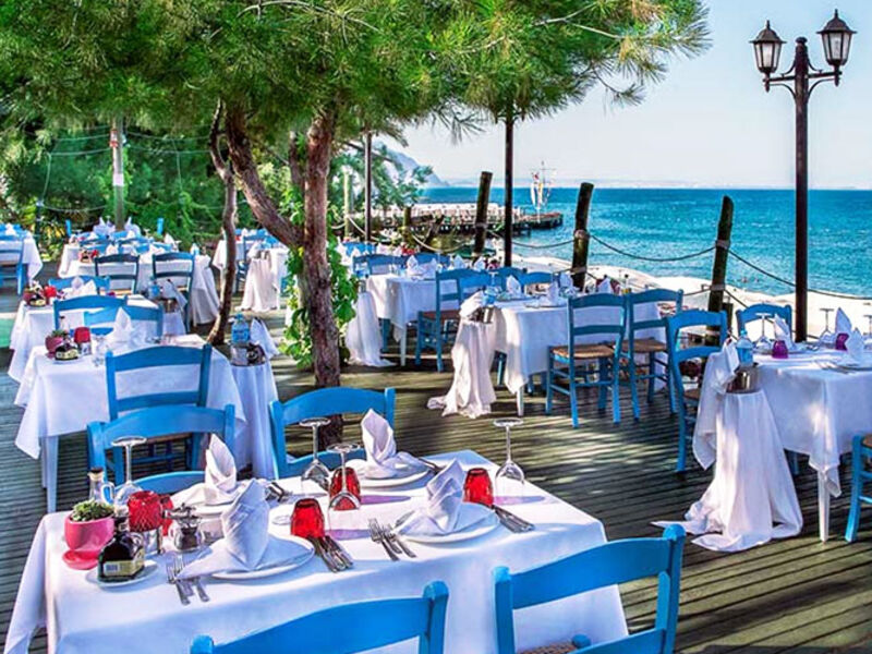 Gypsophila Club Marine