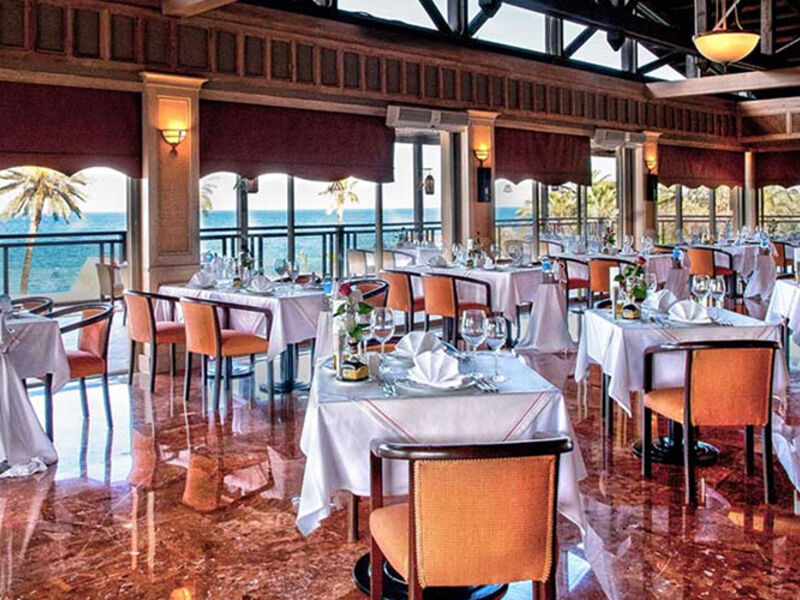 Gypsophila Club Marine