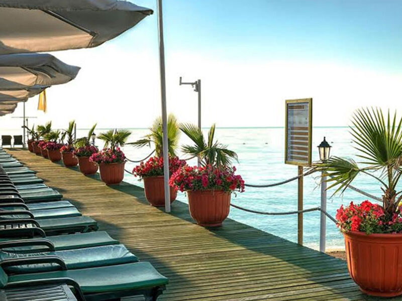 Gypsophila Club Marine