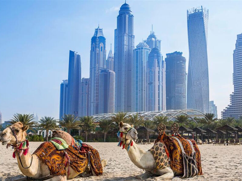 Habtoor Grand Resort & Spa Dubai by Autograph Collection