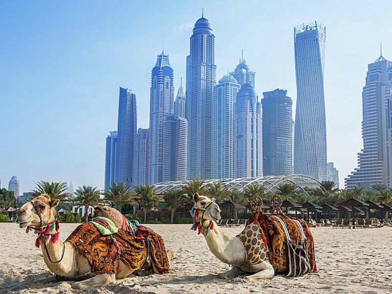 Habtoor Grand Resort & Spa Dubai by Autograph Collection