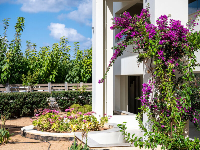 Harmony Rethymno Beach