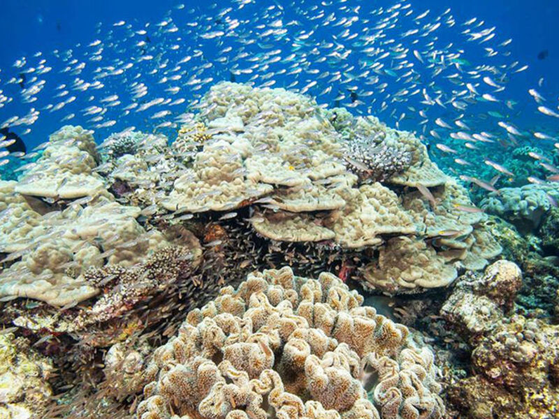 Hurawalhi Island Resort