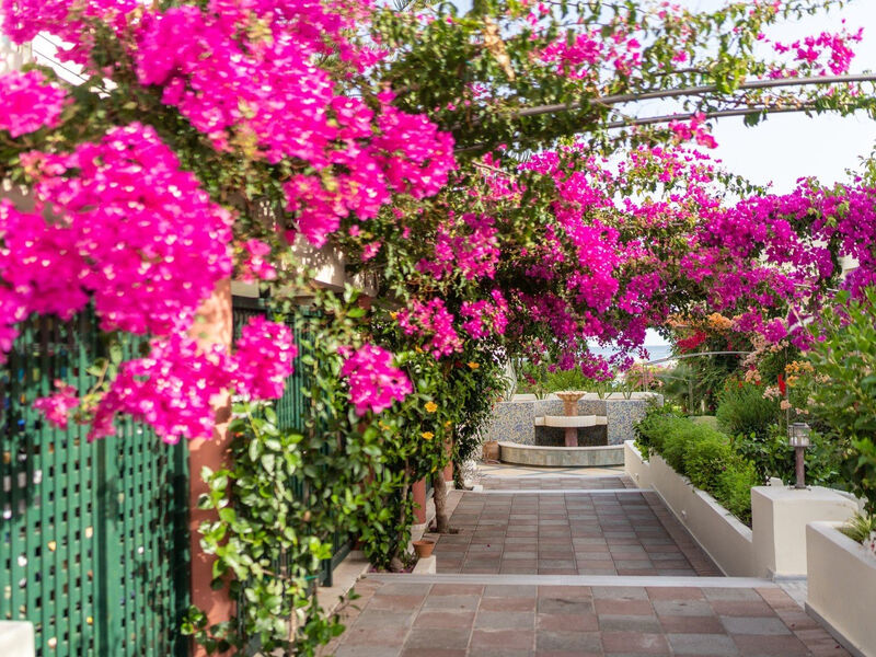 Hydramis Palace Beach Resort
