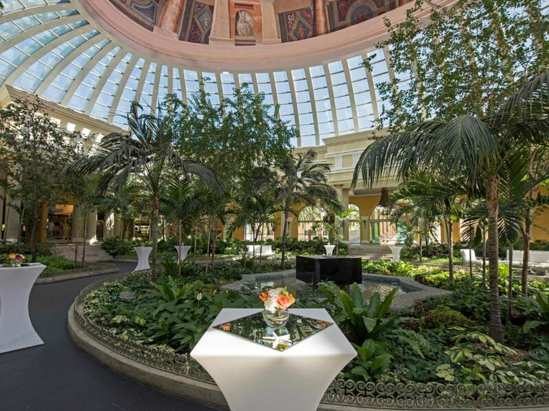 Iberostar Grand Paraiso