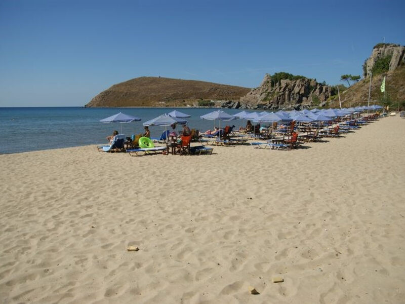 Ifestos